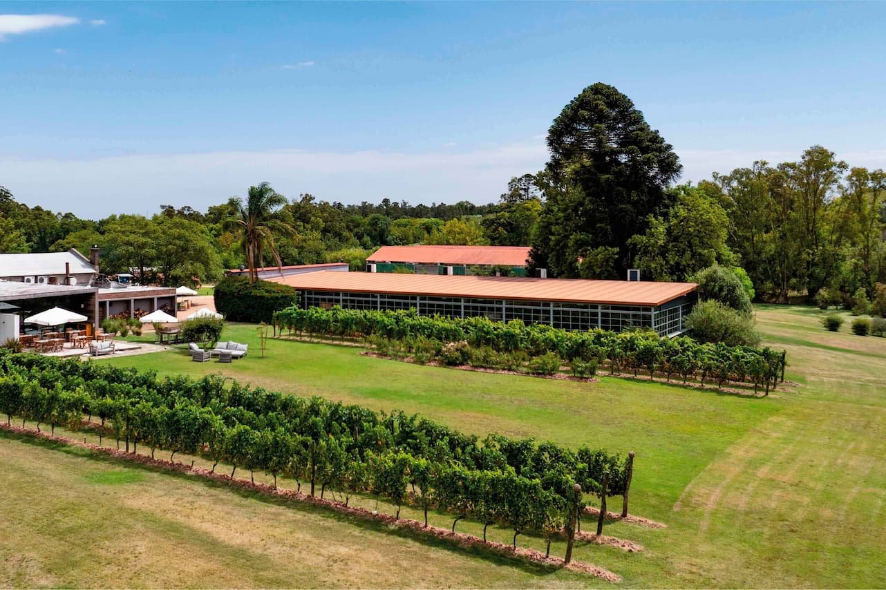 Bouza Winery, Uruguay