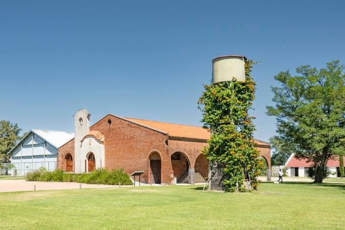 Bouza Winery, Uruguay