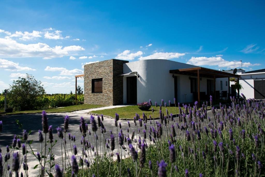 Pizzorno Family Estate, Uruguay